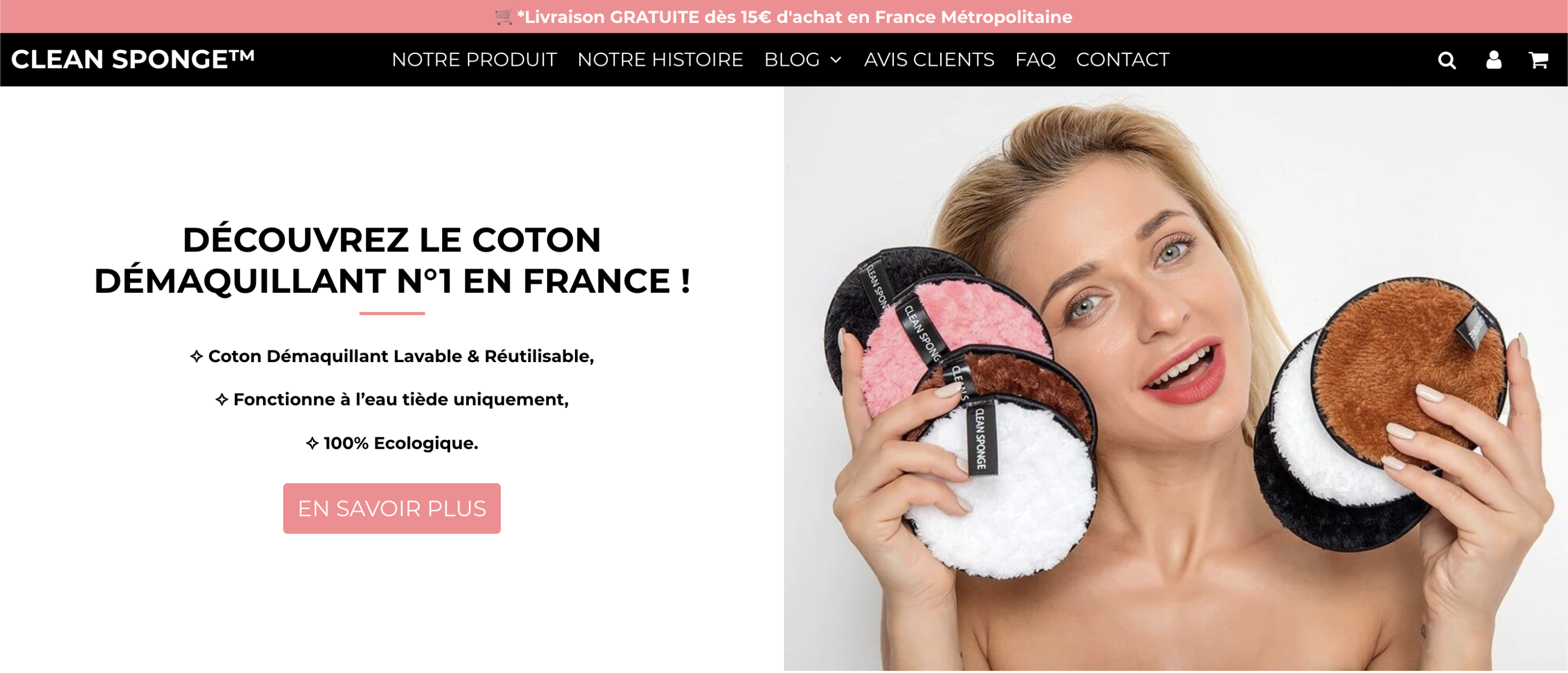 accueil clean sponge wordpress